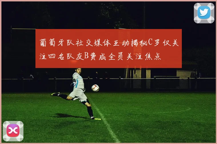 葡萄牙队社交媒体互动揭秘C罗仅关注四名队友B费成全员关注焦点