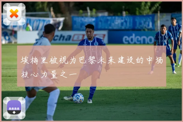埃梅里被视为巴黎未来建设的中场核心力量之一
